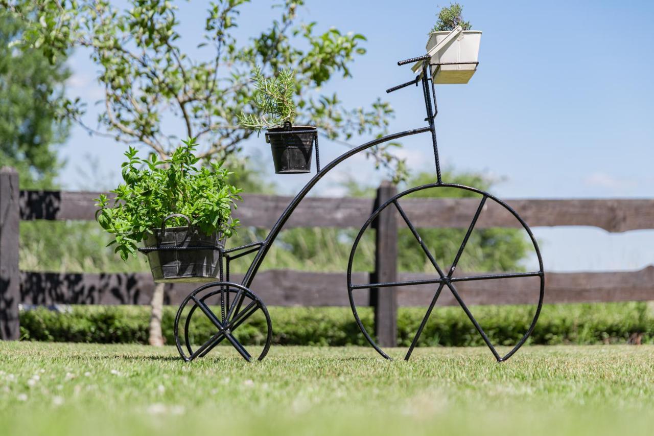 Gite Haven Maissin Ngoại thất bức ảnh